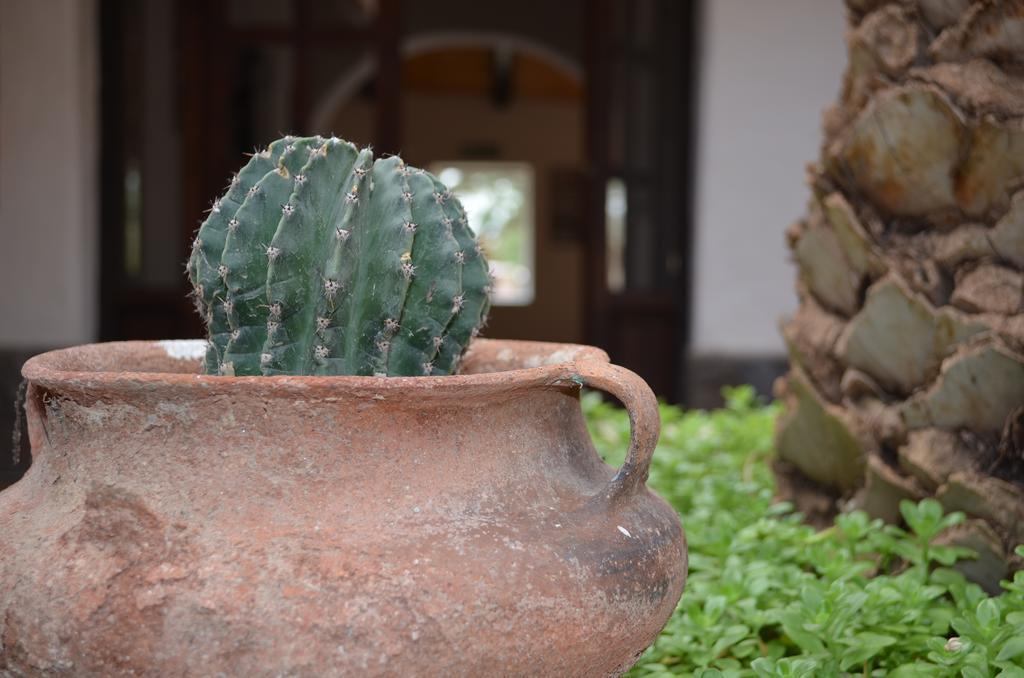 Finca El Carmen Angastaco ภายนอก รูปภาพ
