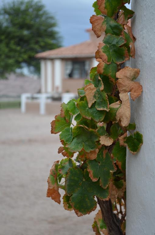 Finca El Carmen Angastaco ภายนอก รูปภาพ