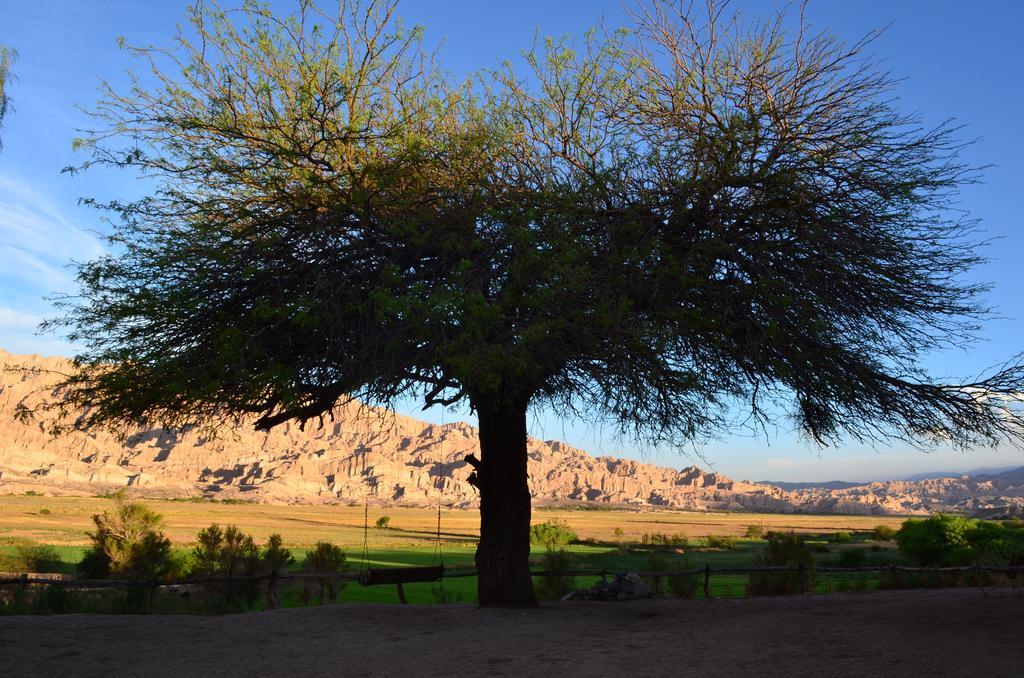 Finca El Carmen Angastaco ภายนอก รูปภาพ